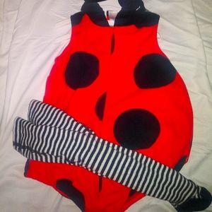 Size 24 months Carter ladybug costume